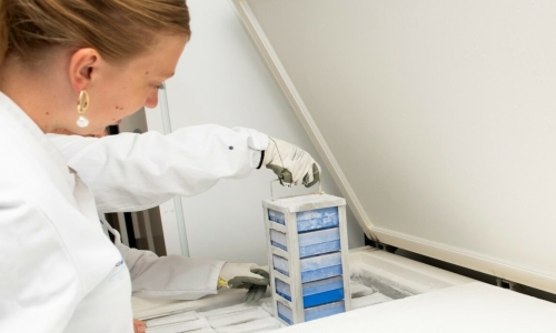 Baanbrekend vaccin tegen alvleesklierkanker in de maak